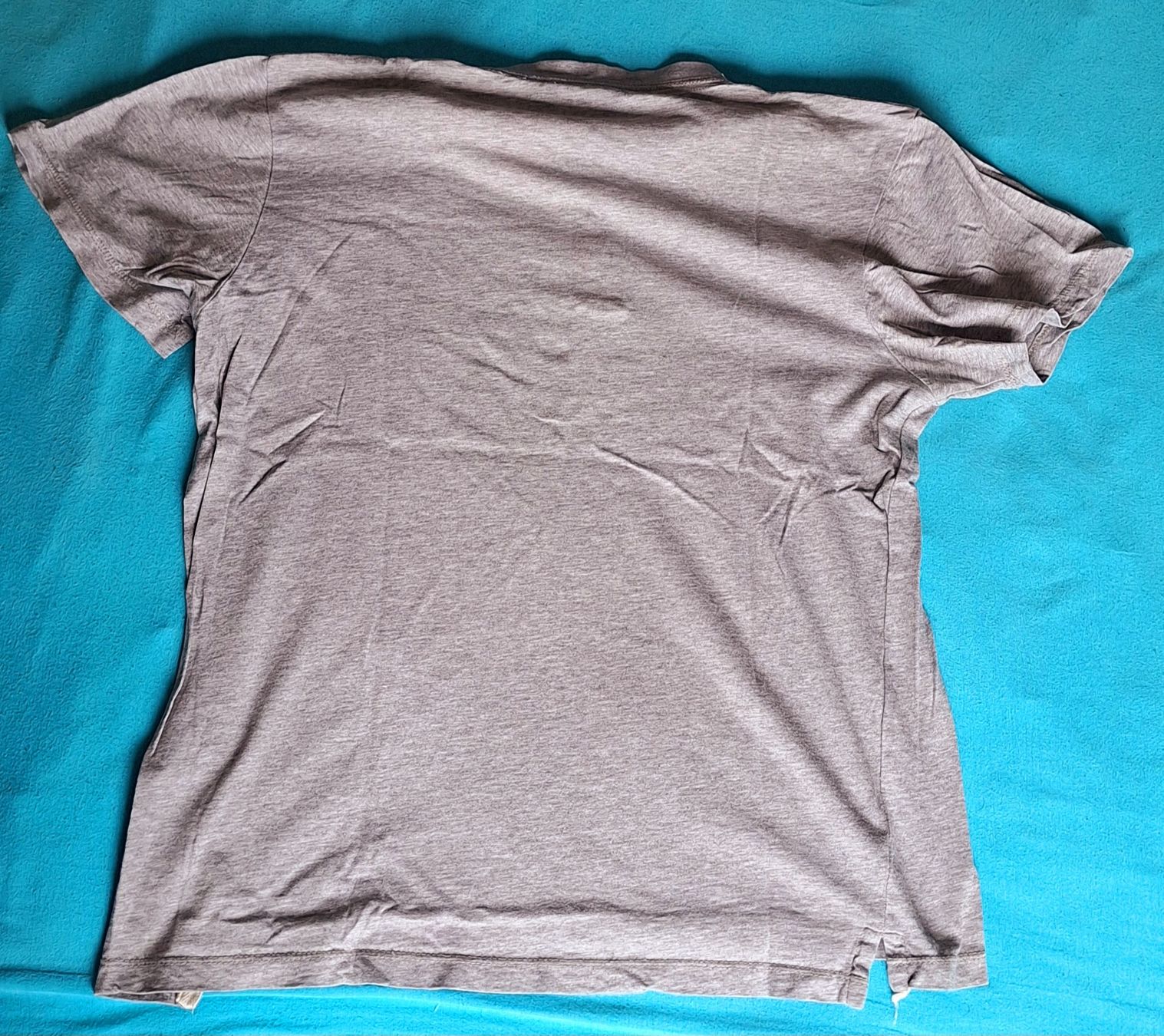 Camicie, T-shirt & Polo: T-Shirt Campus Grösse 164 – Usato da Volketswil venduto da nibin99 1