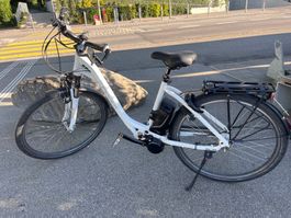 Ebike 45km/h Flyer 2016 defekt mit Akku