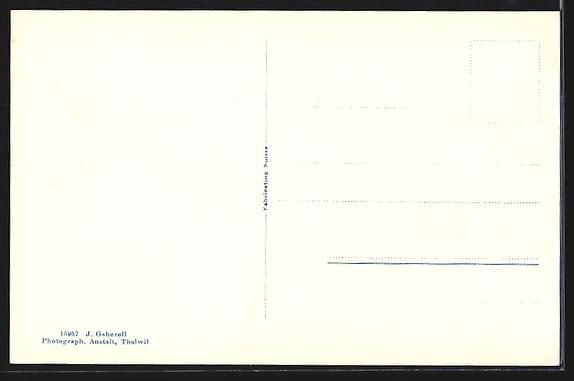 Cartoline postali: AK Bellinzona, Castello Svizzo e Uri – Usato da Berlin venduto da bartko-reher 1