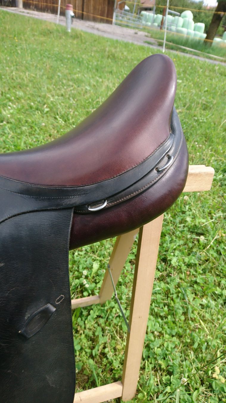 Selles, accessoires: Vielseitiger Equinomic-Wanderreitsattel – D'occasion à Laupersdorf par MiRo6469 1