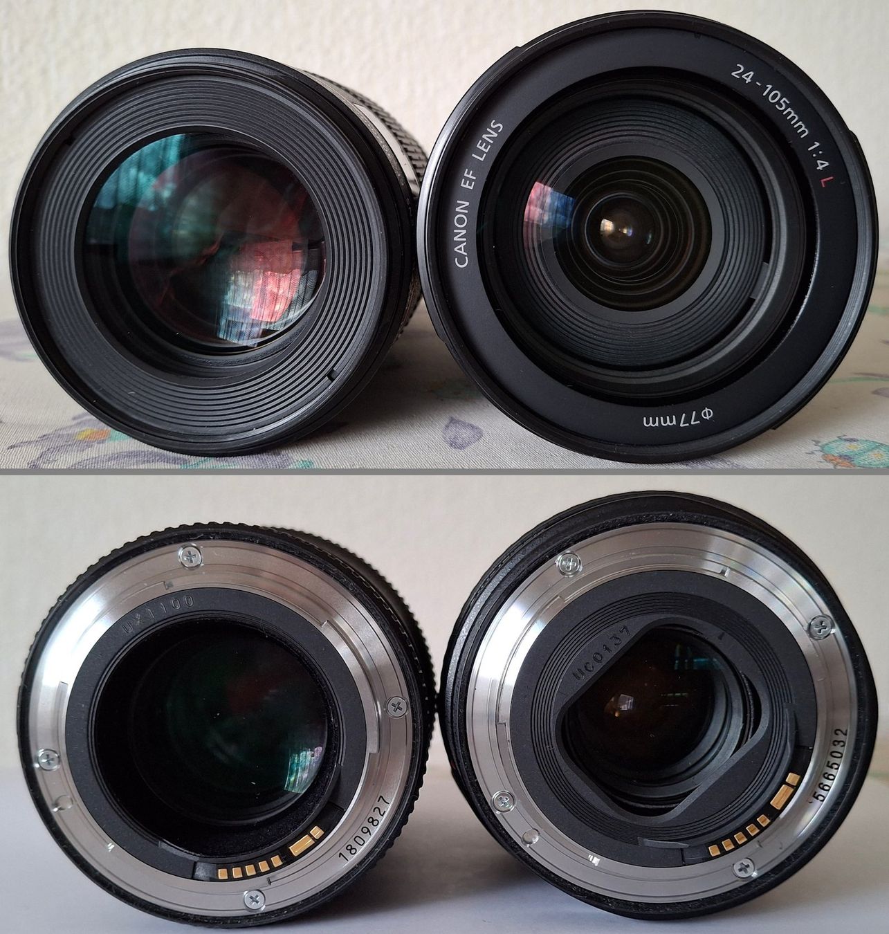 Canon Obiettivi: Canon Objektive EF 100 Macro und EF 24-105 – Usato da Niederhasli venduto da elise_sr2 4