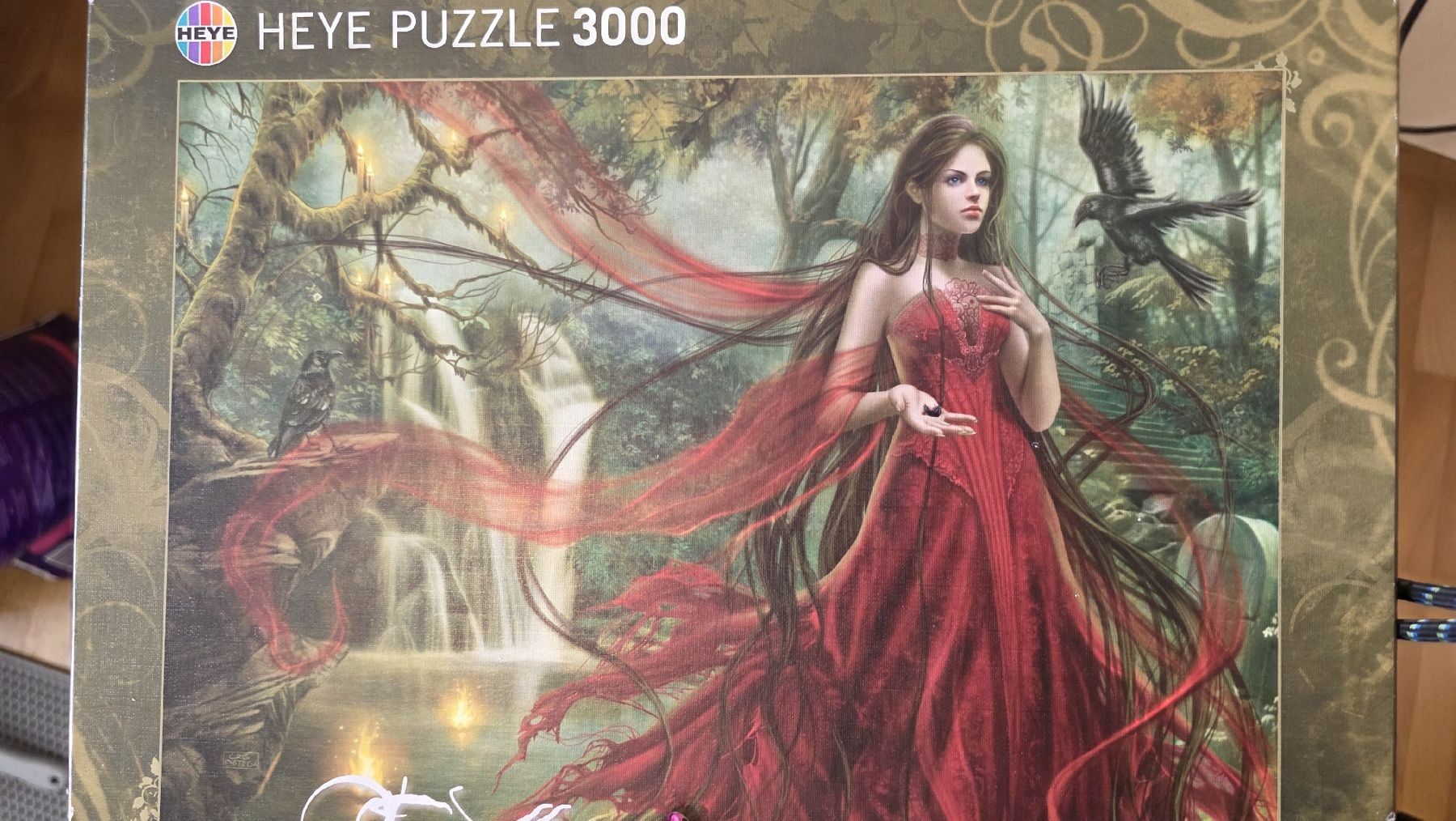 Heye Puzzle: Heye Puzzle 3000 Teile "Forgotten" – Usato da Roggwil TG venduto da Seinija
