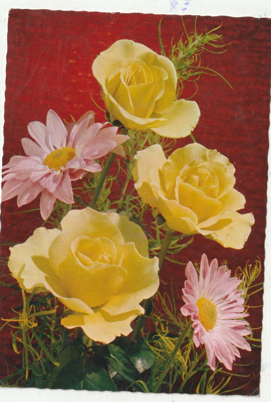 Cartes postales: Blumenkarte – D'occasion à Lumbrein par made02