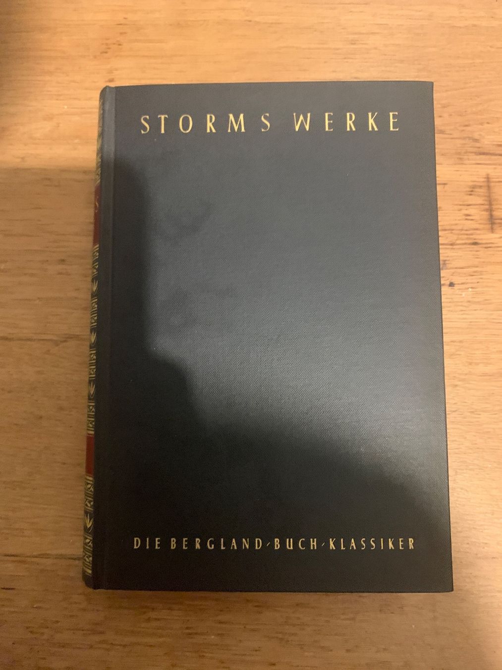 Bücher: Theodor Storms Werke – Gebraucht aus Wiggen von Antoniotto