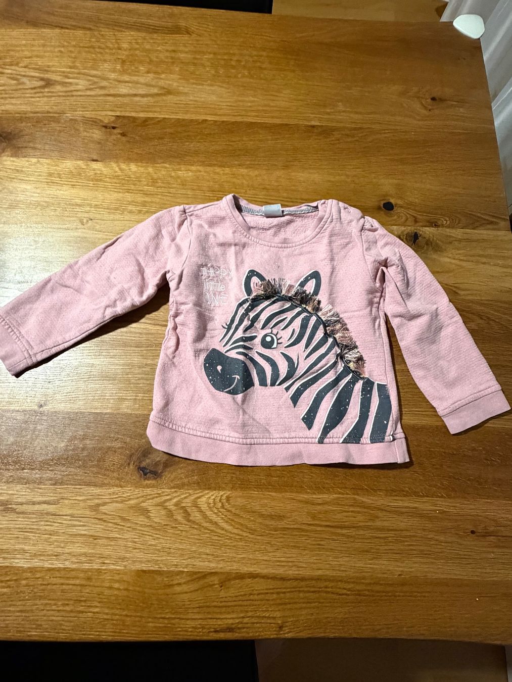 Pulls et sweat-shirts: Pullover Gr.98 – D'occasion à Bad Zurzach par simba1995