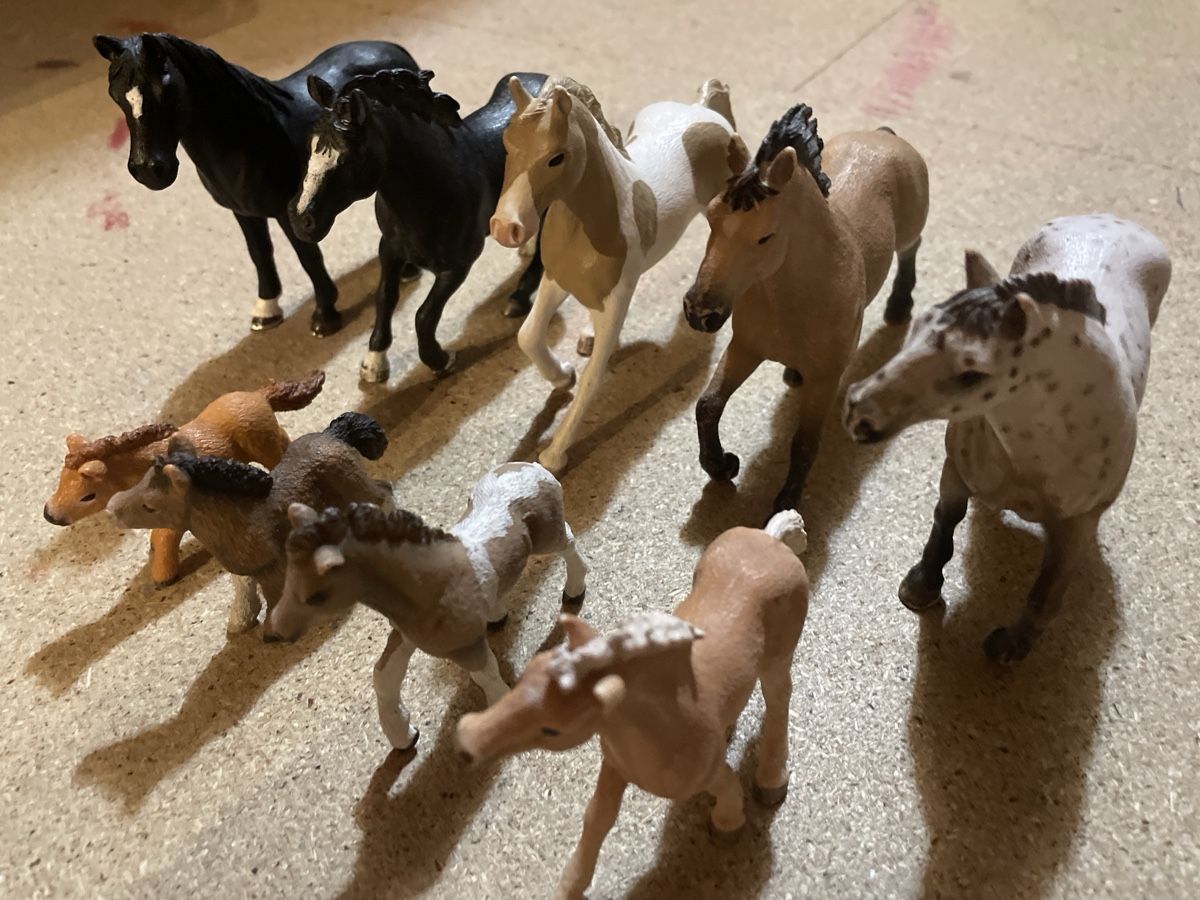 Schleich Giocattoli: Schleichtier Set  – Usato da Niederhasli venduto da nic_65cm 1