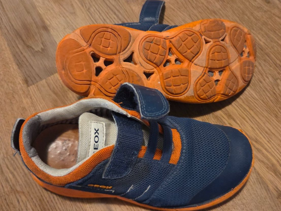 Geox Schuhe für Jungen: Turnschuhe Geox,Gr. 31 – Gebraucht aus Basel von Mccasi 1