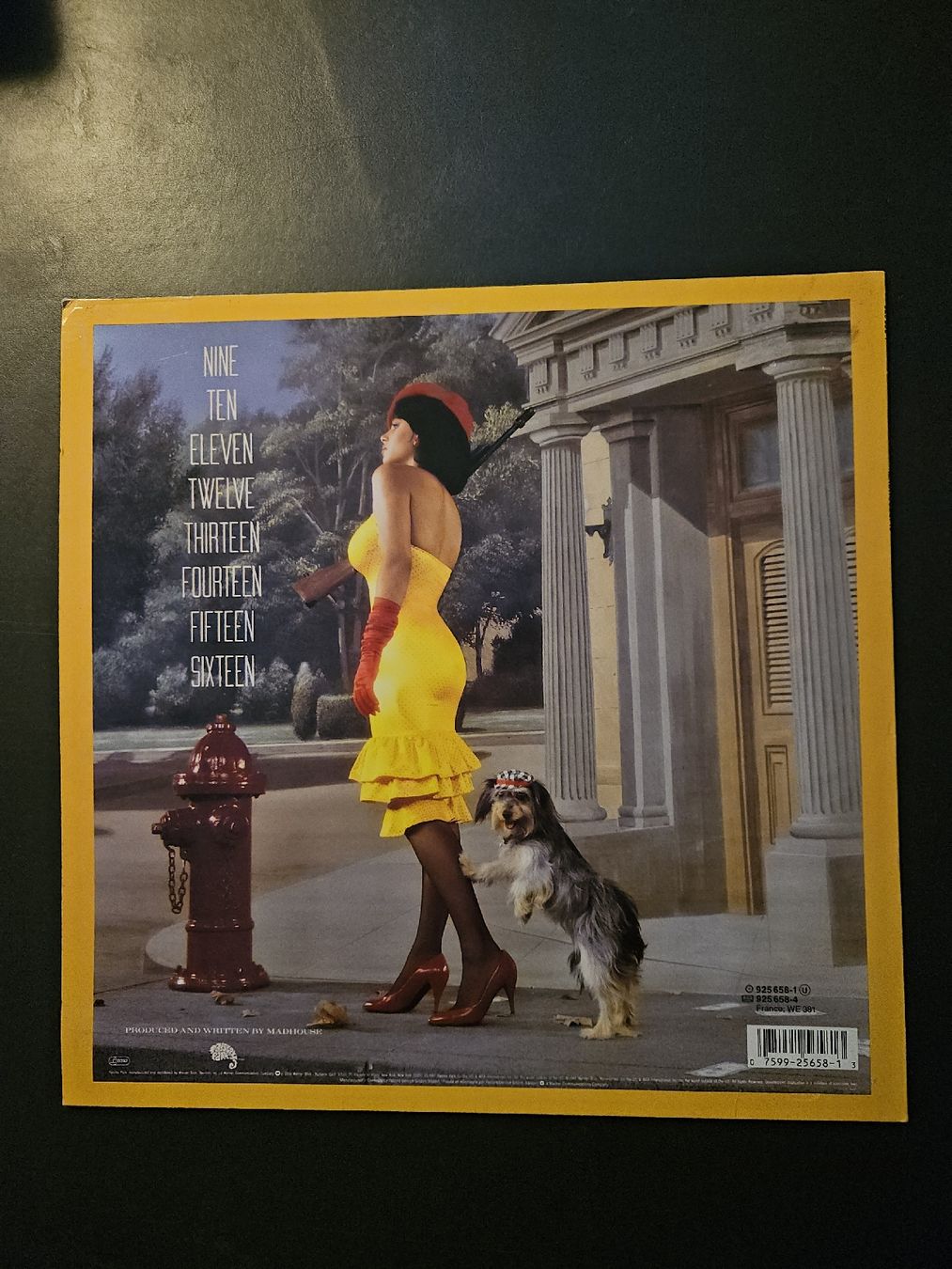 Schallplatten: Prince/Madhouse 16 LP – Gebraucht aus Bern von gregstarr 1