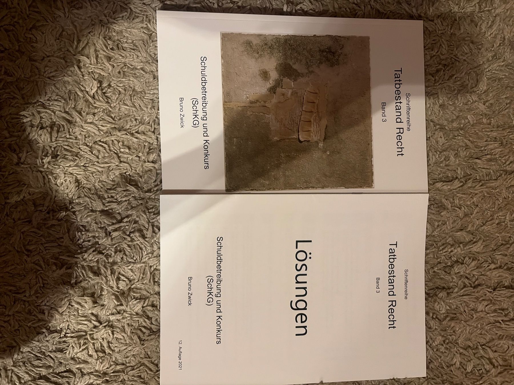 Bücher: Tatbestand Recht Band 3 – Gebraucht aus Visperterminen von lgresell
