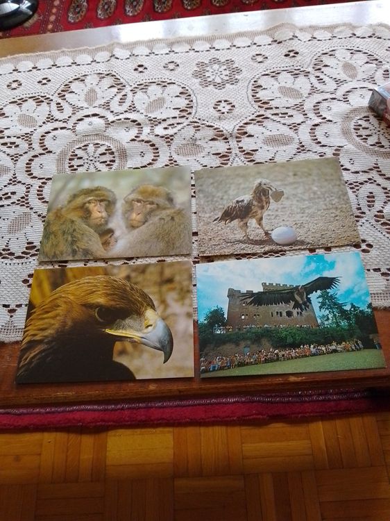 Lot De 3 Cartes Postales Anciennes Hanovre Basse-Saxe, Non Circulées, Années 1930/40