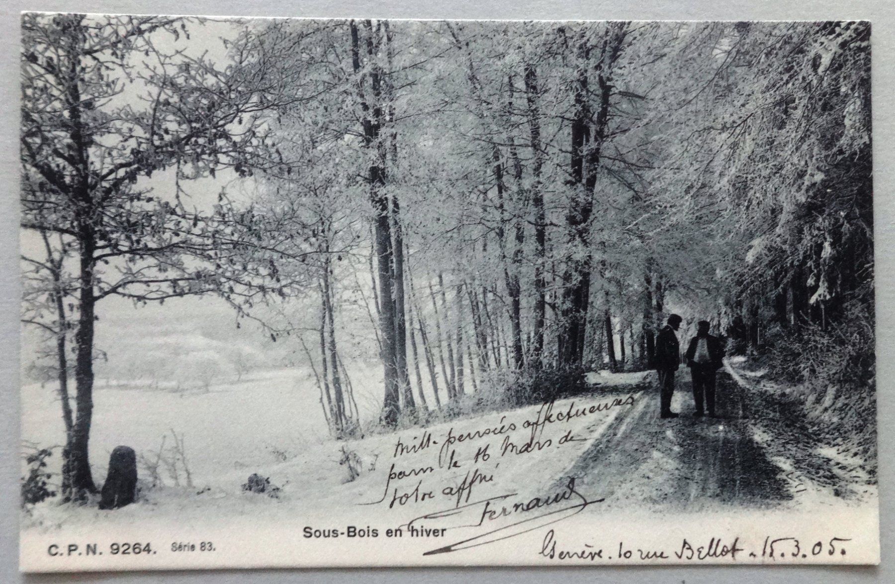 Cartes postales: Sous-Bois en hiver – D'occasion à Fétigny par Billy2miny