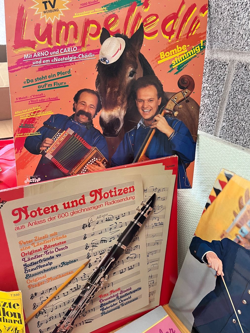 Dischi in vinile: volkstümliche Schallplatten und Schlager – Usato da Mosnang venduto da KurtHe 2