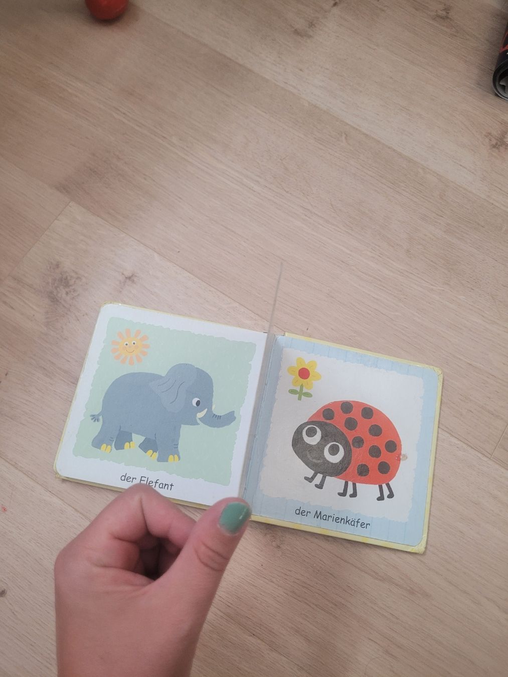 Livres: Bilderbuch Tiere – D'occasion à Lupsingen par sta_wgg5 9