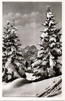 AK WINTERMOTIV BEI BRAUNWALD SCHNEE
