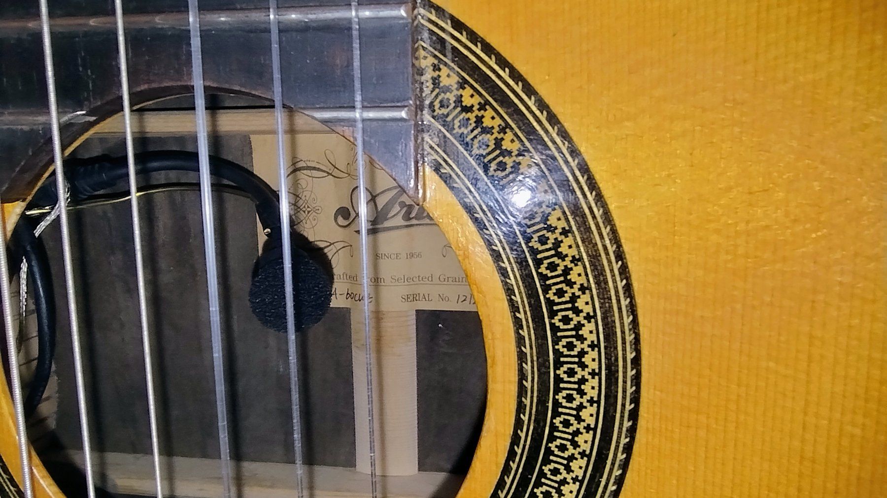 Aria Strumenti musicali: Aria A-60CWE – Usato da Bellinzona venduto da Notturno13 3