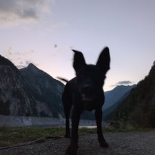 Profile image of LillyMarie98