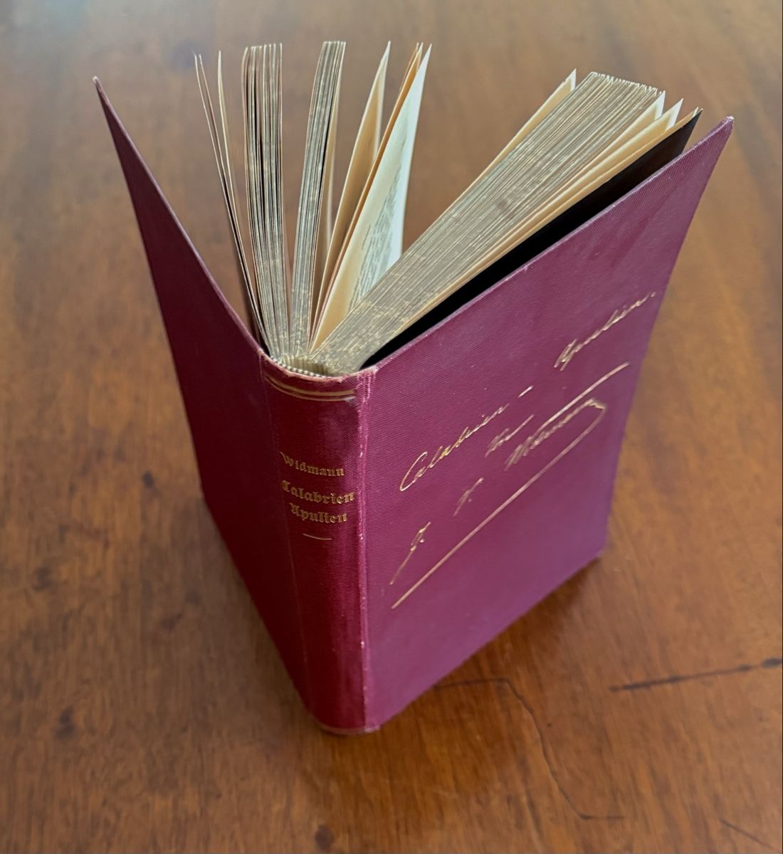 Bücher: Antikes Buch: Calabrien und Apulien, Widmann, 1904 – Gebraucht aus Weisslingen von Jannaki 1