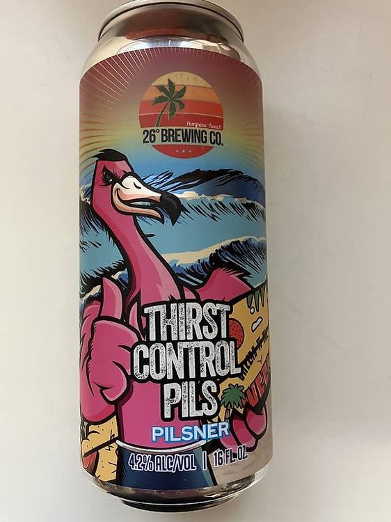 Thirst Control Pils 🍻 Flamingo Bier Dose USA Coole Dose (Neu und ...