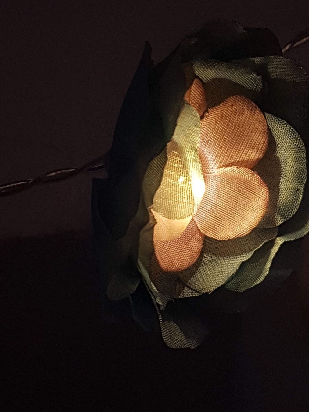 Ghirlande e barre luminose: Lichterkette mit 10 Blumen, batt.betr. – Nuovo e nell'imballaggio originale da Ettingen venduto da Maranathatalitha 4