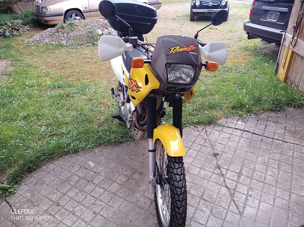 Enduro:  Honda NX 650 Dominator  – Gebraucht aus Suhr von ManuDe 1