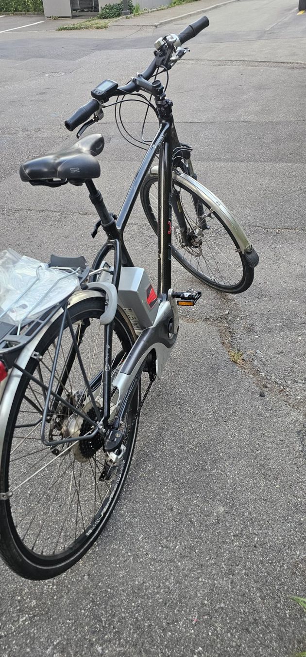 Flyer Biciclette: Ebike Flyer HS 45kmh Carbon rahmen – Usato da Emmenbrücke venduto da Haz_wd2d 2