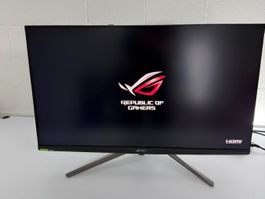ASUS ROG Swift PG32UQX 3840 x 2160 Pixel, 32"