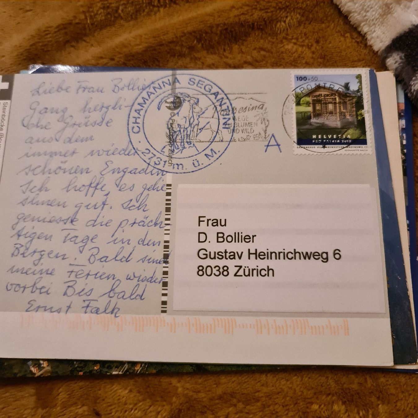 Cartoline postali: Pizza Aldris Steinbock. u blick – Usato da Zürich venduto da jaa_8n7l 3