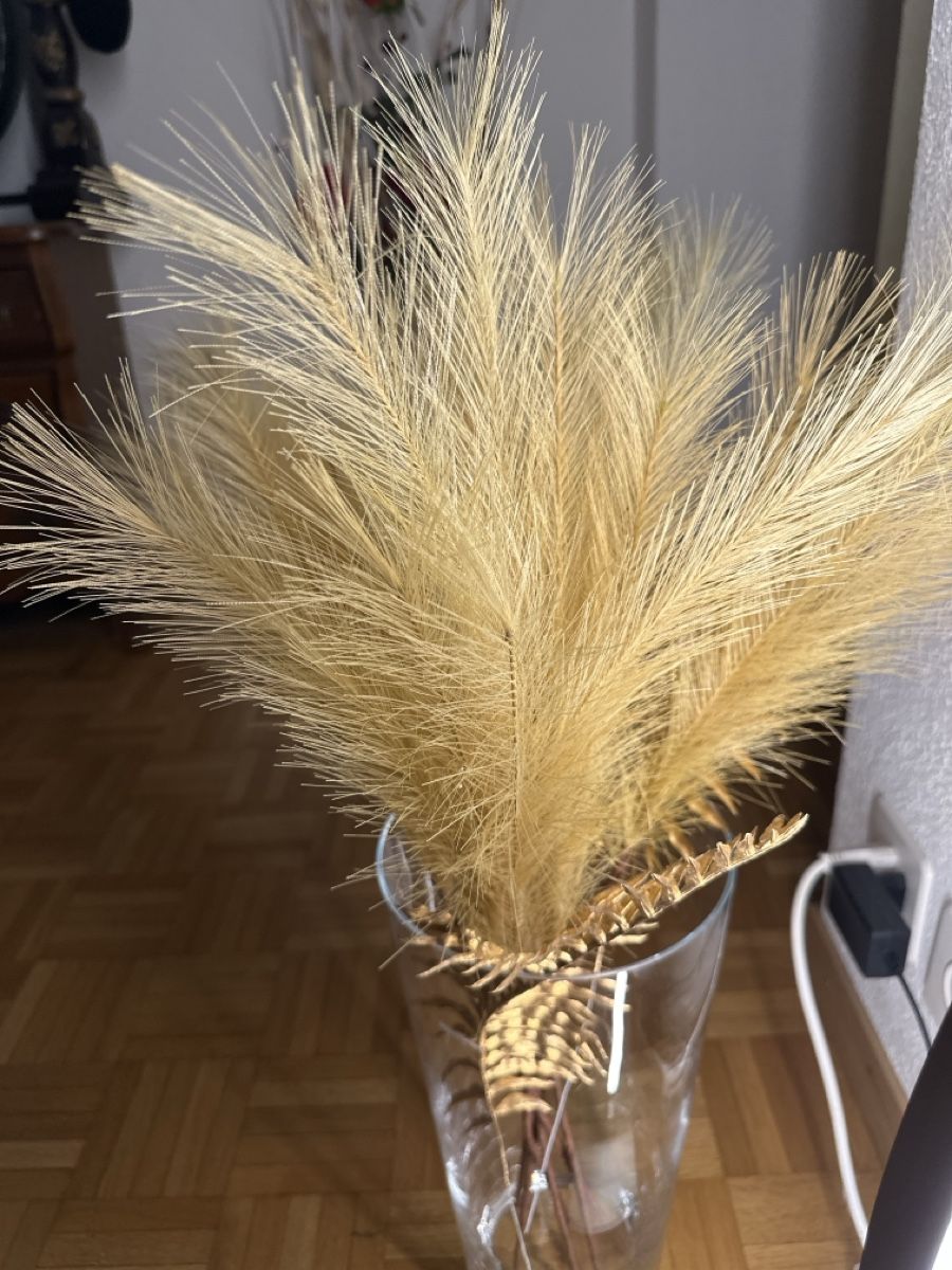 Tutte le decorazioni: Deco – Usato da Stäfa venduto da Iketiw13 1