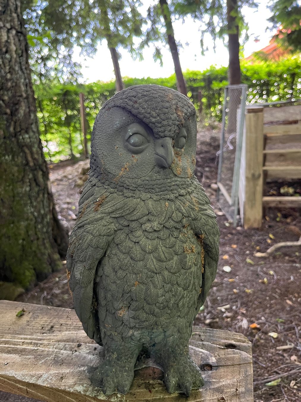 Alle Dekorationen: Eule, Figur, Dekoration – Gebraucht aus Oberentfelden von Fabianbeboux 1