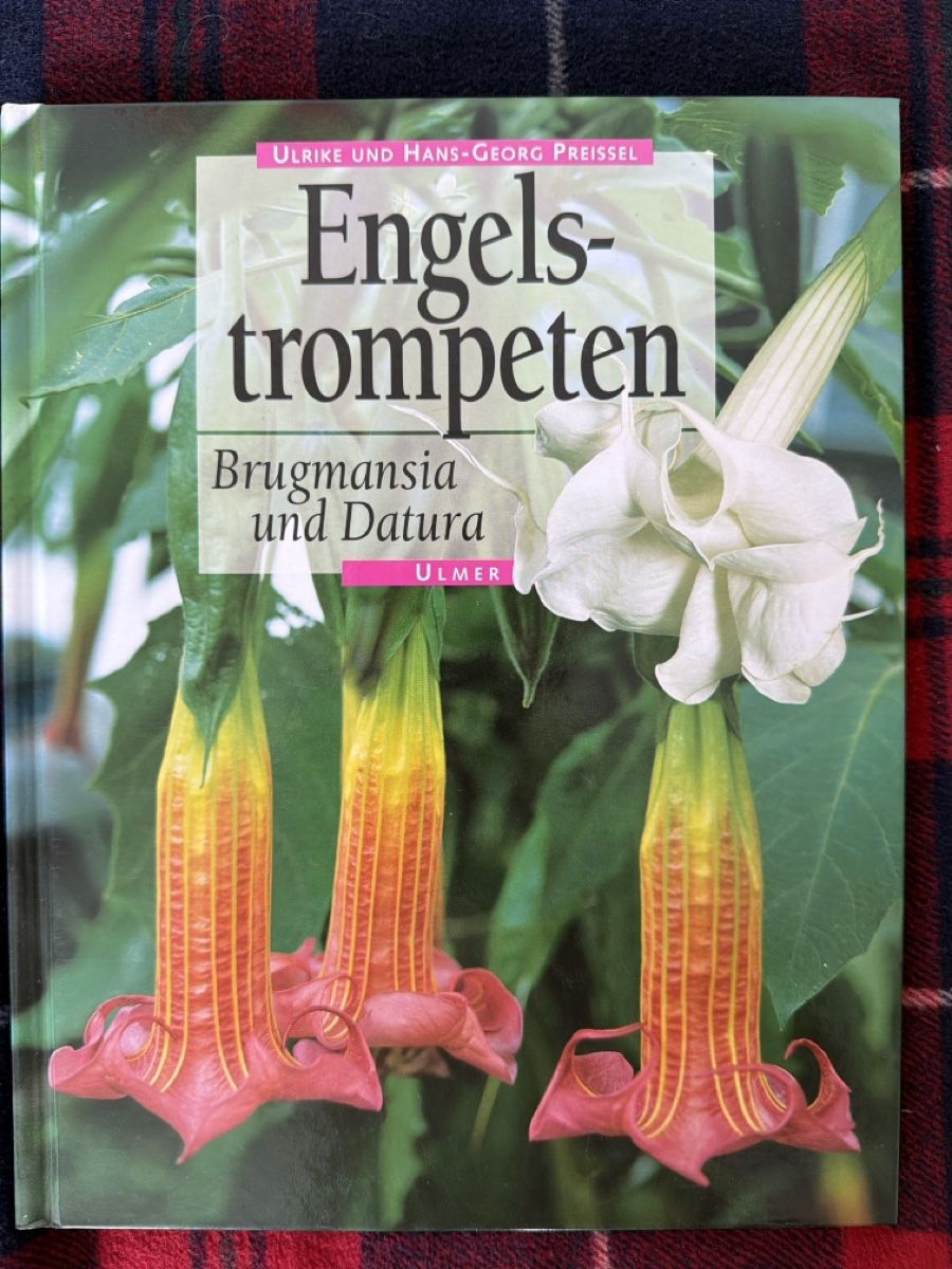 Libri: Bücher Set:Engels-trompeten: Brugmansia – Usato da Zürich venduto da d.reitzer 1