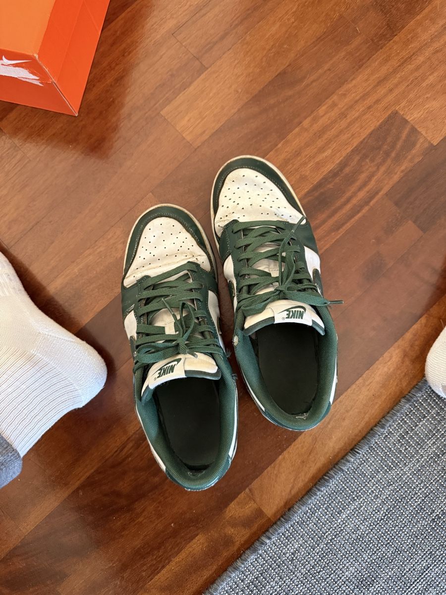 Nike Scarpe da uomo: Nike Dunk Low Verde uomo 44.5 – Usato da Bellinzona venduto da gia_zx2b 5