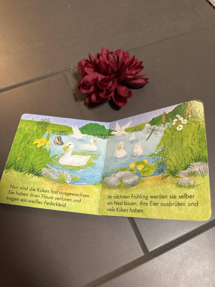 Libri: Kosmos Kinderbuch Das kleine Küken – Usato da Zürich venduto da Belisimo 5