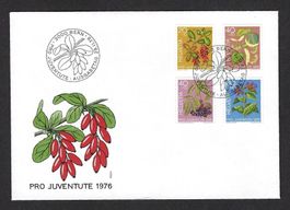 Pro Juventute 1976, Ersttagsbrief