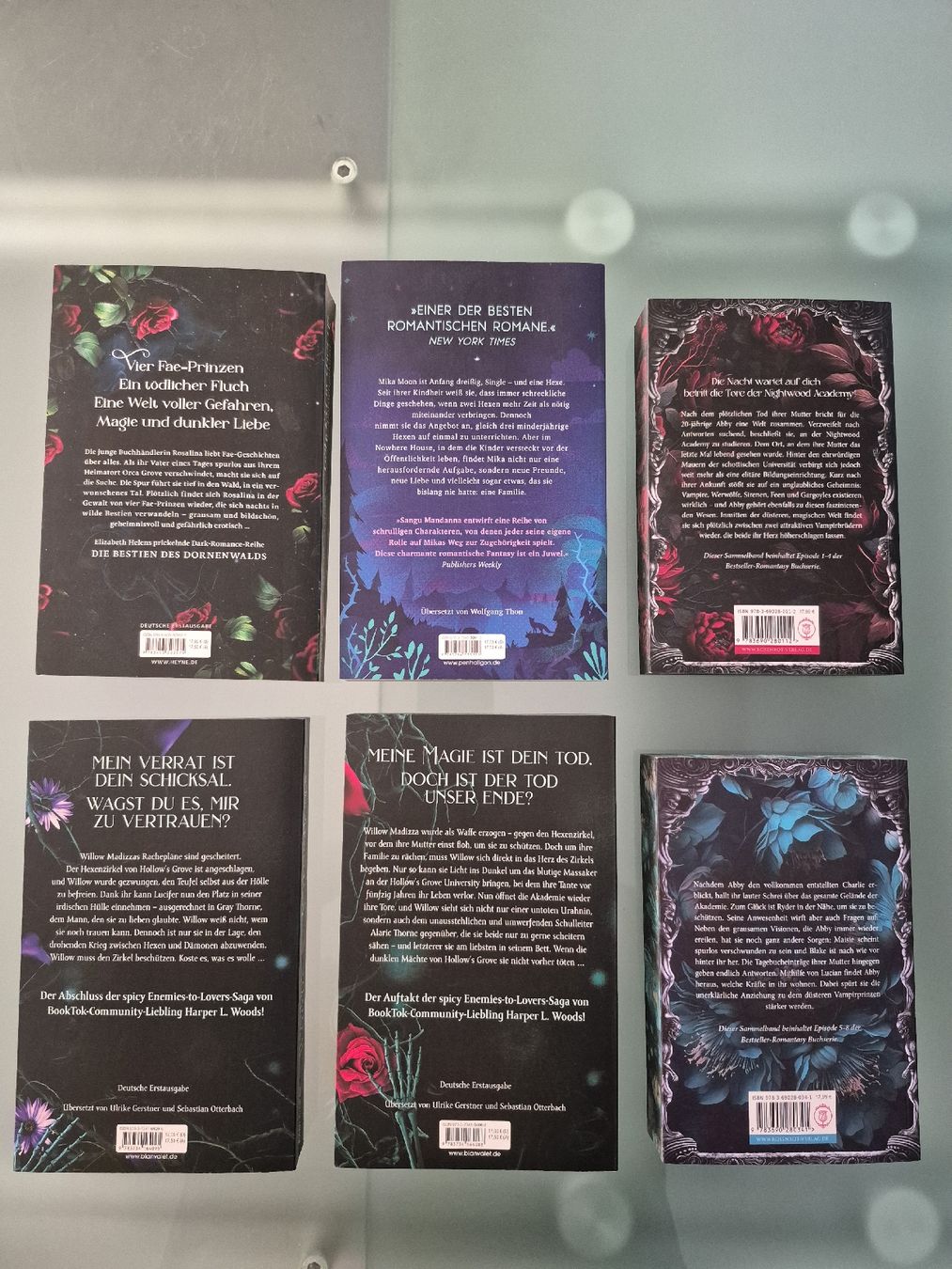 Libri: Fantasy Bücher Paket – Usato da Buochs venduto da Neclipse 1