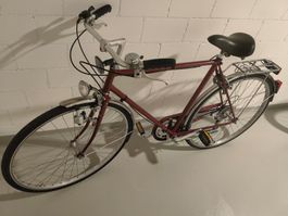 Gepflegtes Cityvelo