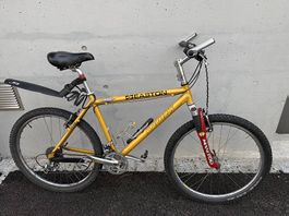 MTB Stevens Easton