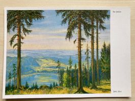 AK Der Feldsee (Ferd. Dörr)