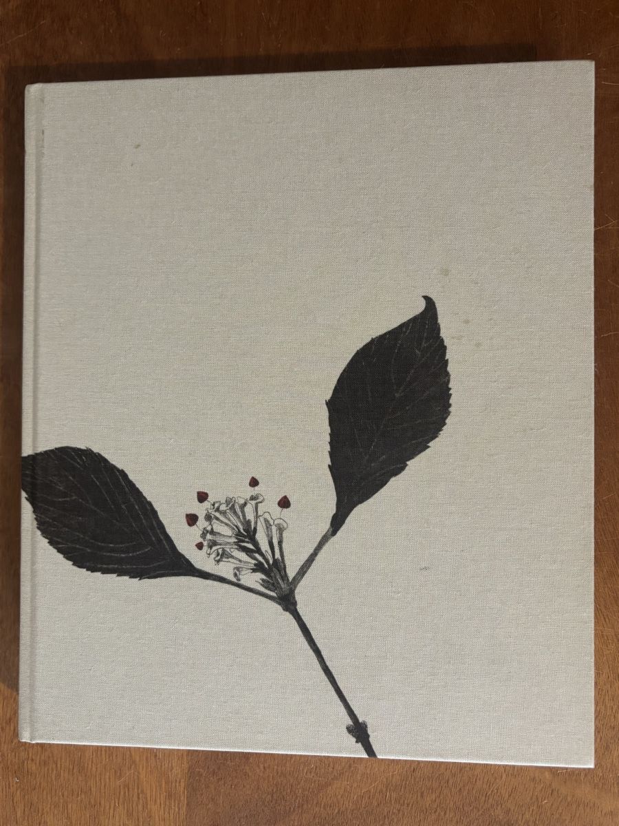 Libri: Garten Symphonie. Markus Rauh – Usato da Zürich venduto da WWehrle 2