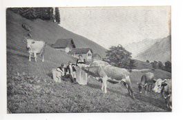 OBERWIL Landwirtschaft, Bauernfamilie