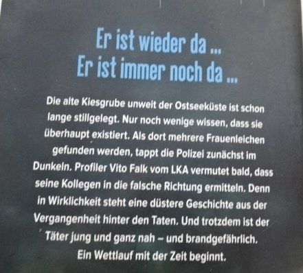Libri: Max Zorn Treibsand – Usato da Wetzikon ZH venduto da strubeli024 1