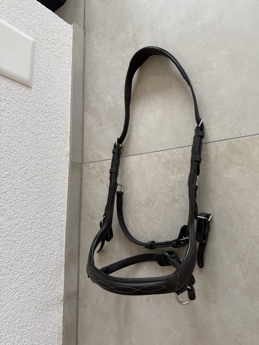 Briglie & Cavezze: Schönes Rambo Micklem WB-XL – Usato da Goldingen venduto da Wibli96 6