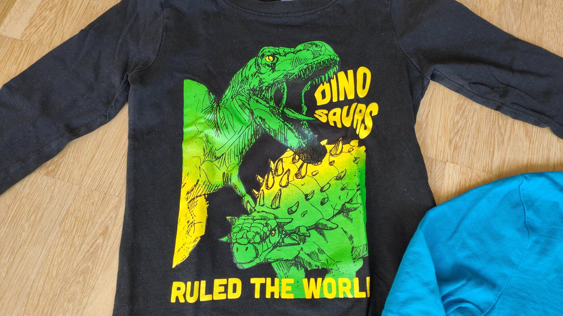 Maglioni & Felpe: 2 coole Dinosaurier Pullover  (Gr. 104) – Usato da Wädenswil venduto da adelimmat 1