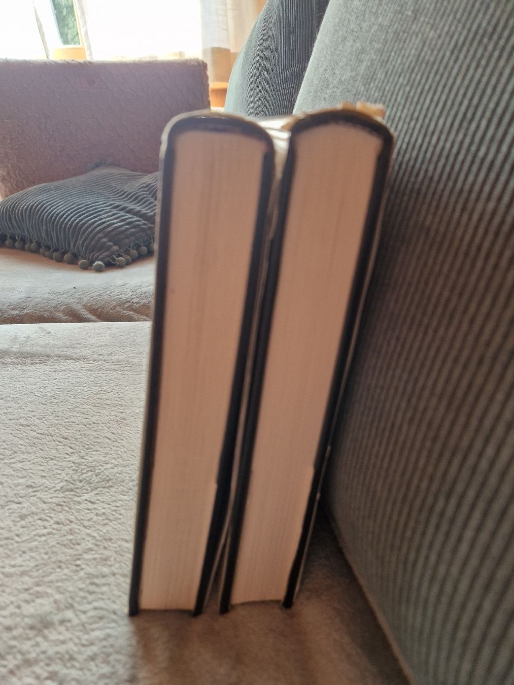 Libri: Larousse Histoire de L'art 1 et 2  – Usato da Les Agettes venduto da Mazikeen 7