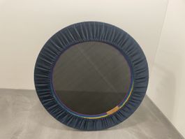 Lymph-Rebounder "EUSEBIUS" von Heinz Mosimann,Top Zustand!