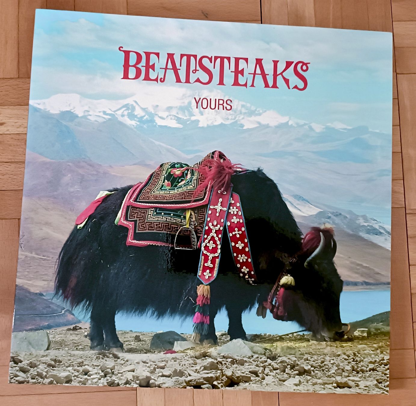 Dischi in vinile: BEATSTEAKS - Yours 2LP – Usato da Luzern venduto da cryptonic79