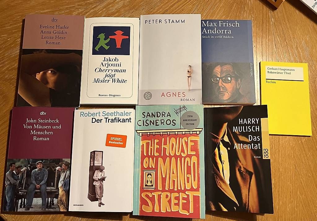Libri: Literarische Werke (diverse) – Usato da Buttisholz venduto da Katja_H