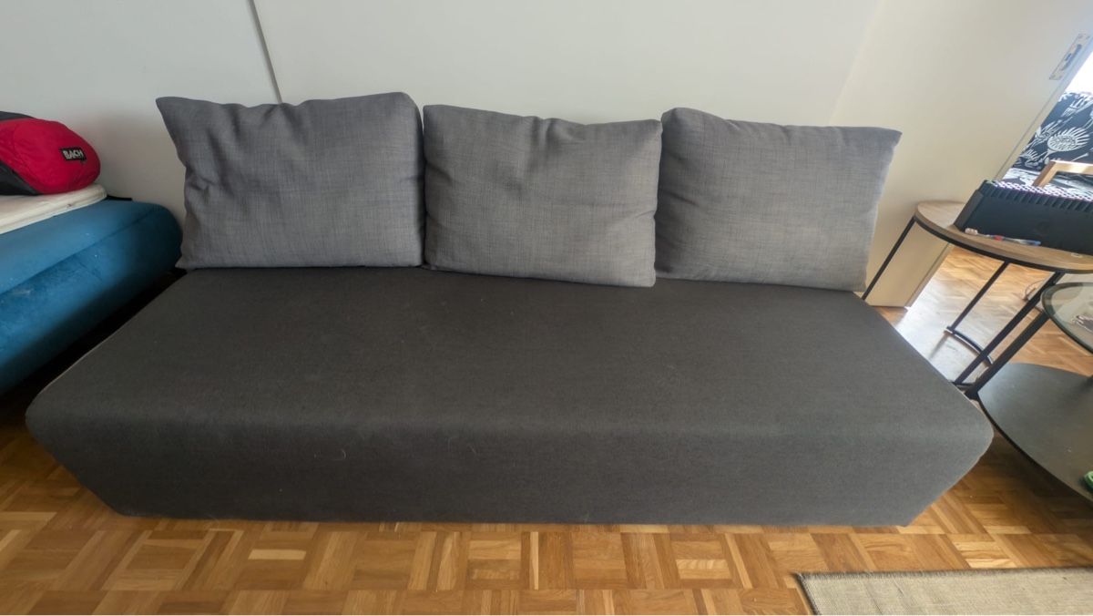 Divani: Schlafsofa / Bettsofa, grau, gut erhalten – Usato da Luzern venduto da Purple_Rose01 1
