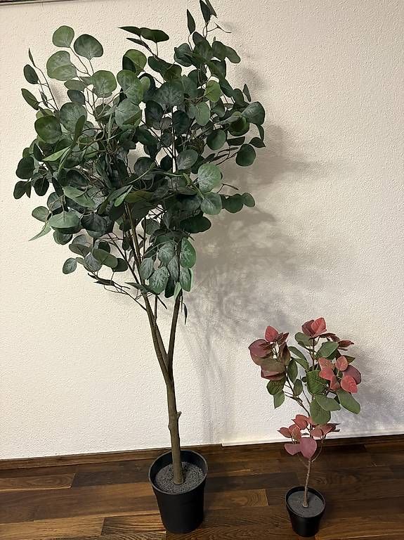 Piante & sementi: Kunstpflanzen – Usato da Frauenfeld venduto da janz_st