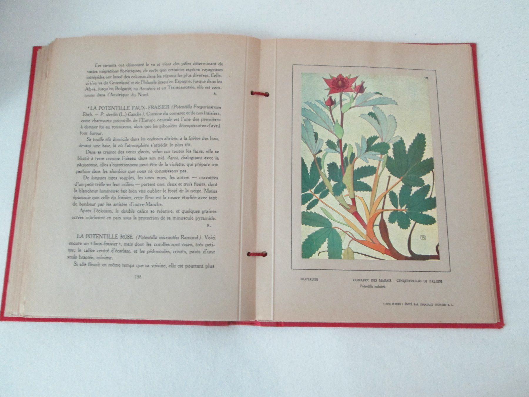 Livres: Nos Fleurs – D'occasion à Neuchâtel par Dualseele 5