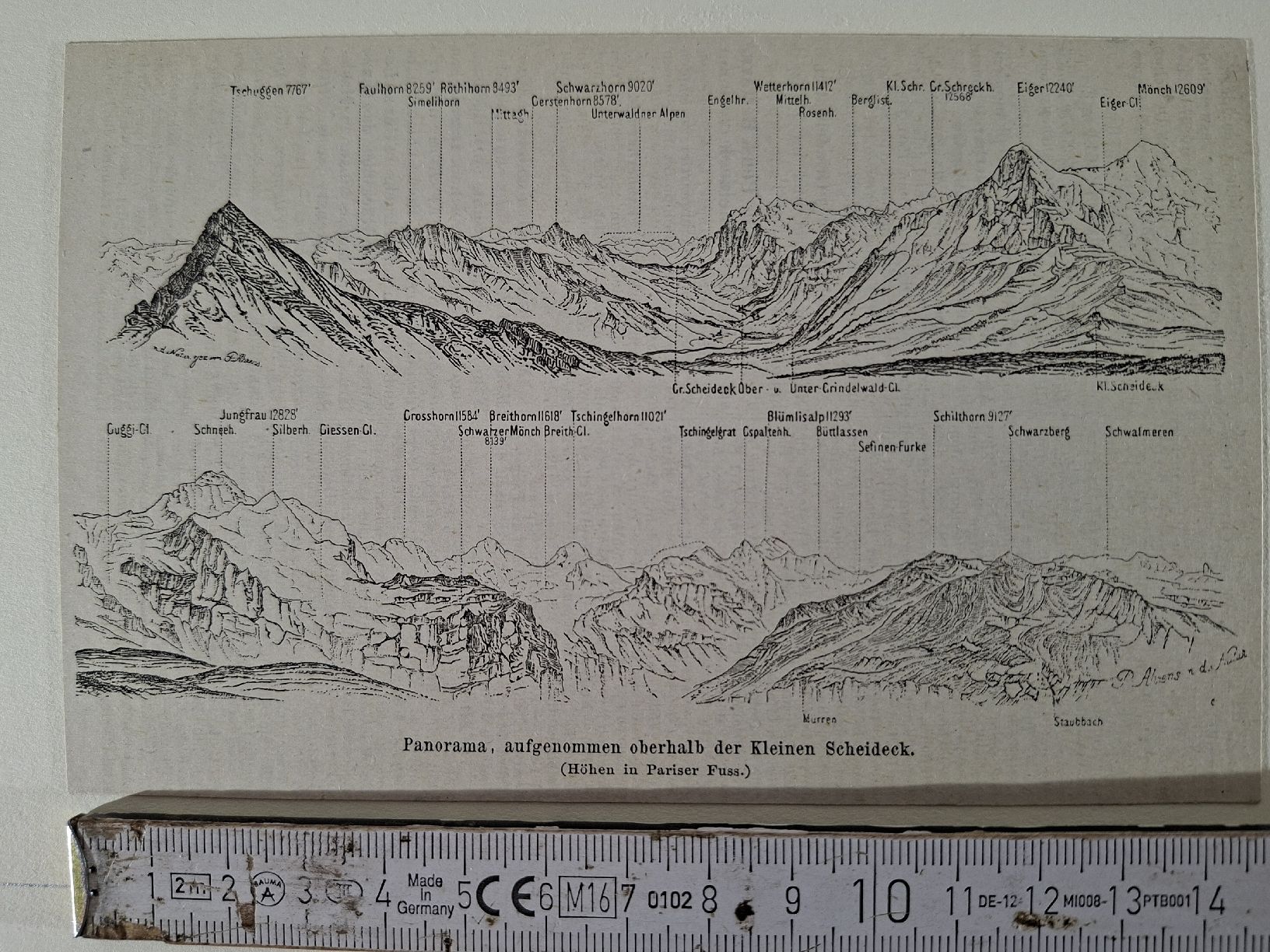 Incisioni: Lot 65,10 Stiche  – Usato da Grindelwald venduto da carro5 2